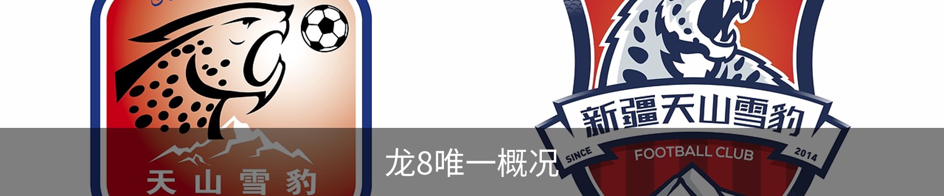 龙8唯一概况